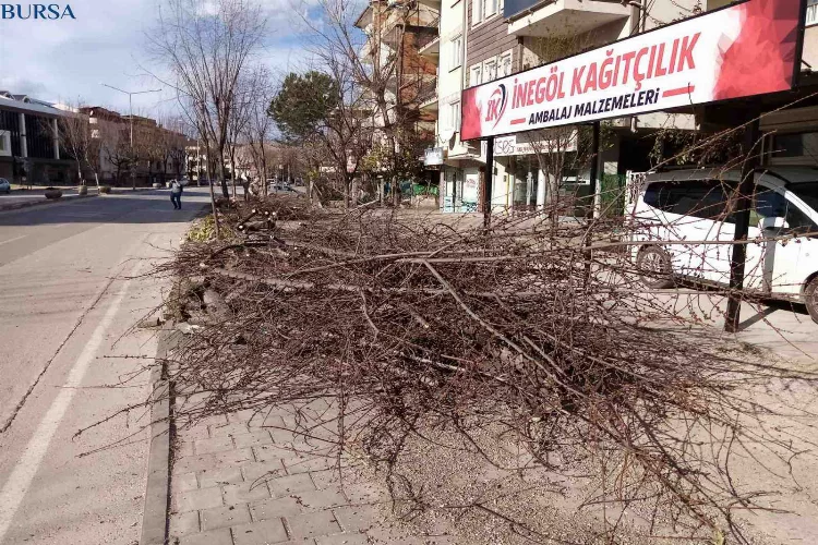 Bursa’da şiddetli lodos hayatı felç etmeye devam ediyor