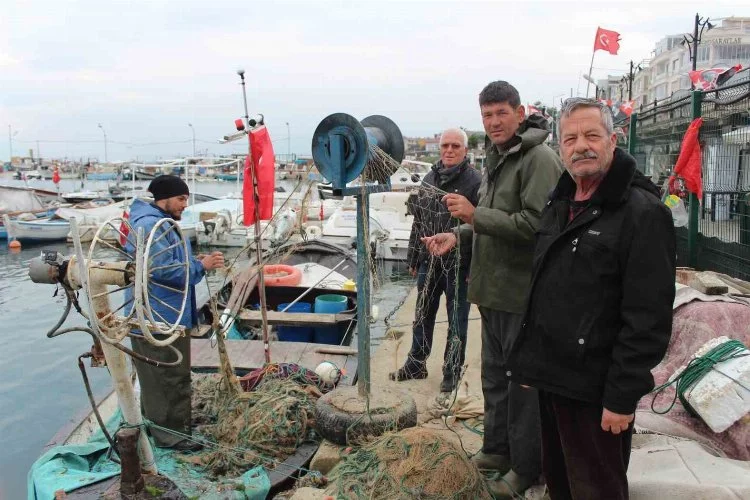 'Gemlik Körfezi büyük balıkçılara yasaklansın' talebi