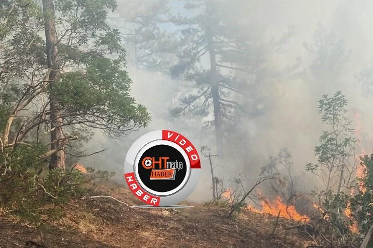 Kütahya’daki orman yangını için Bursa’da da seferberlik