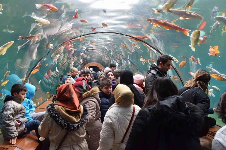 Tünel akvaryumu 10 günde 40 bin kişi ziyaret etti